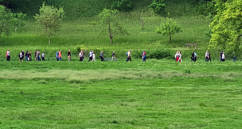 Die ambitionierte Exkursion des 131. DRG-Rasenseminars endete mit  dem Rundgang durch den Schlosspark Tiefurt.