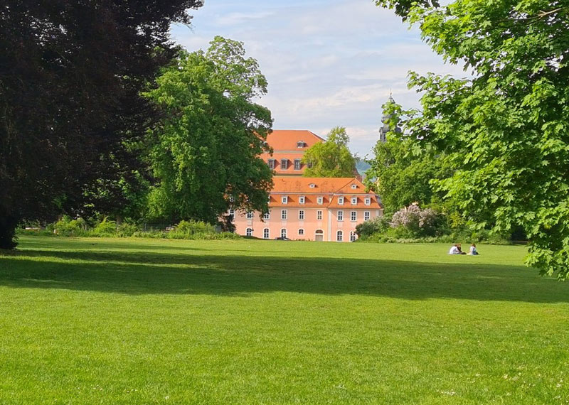Ausgewiesene Liegewiese im Park an der Ilm.