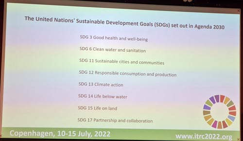 Rasen bietet Chancen bei der Realisierung der SDG’s der UN. 