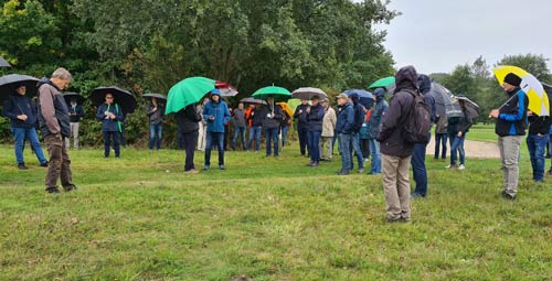 Erläuterungen zur Biotop-Entwicklung nach Räumung des Aufwuchses zur  Abmagerung der Fläche. 