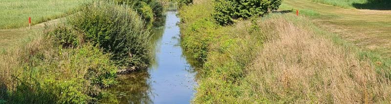 Einstimmung: Golf und Natur. 