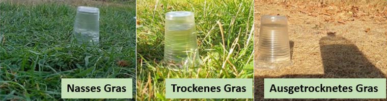 Demonstrationsversuch zur Versickerungsgeschwindigkeit eines Glas Wassers auf unterschiedlichen Bodenoberflächen. 