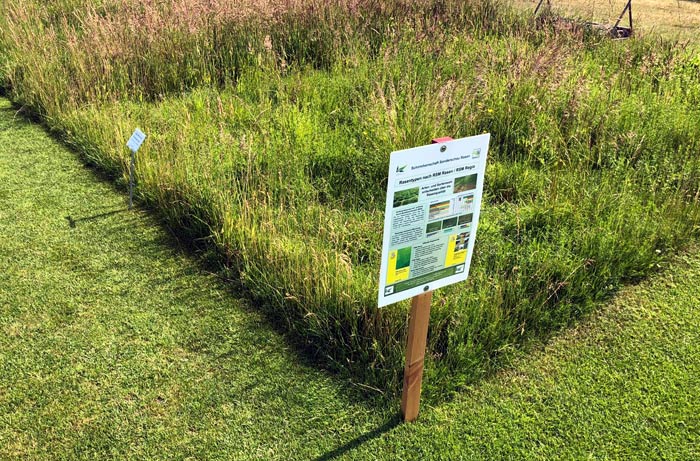 Ausgewählte Regio-Ansaaten zur Präsentation der Artenvielfalt in Mischungen im Rahmen der Sonderschau Rasen, demopark 2023.