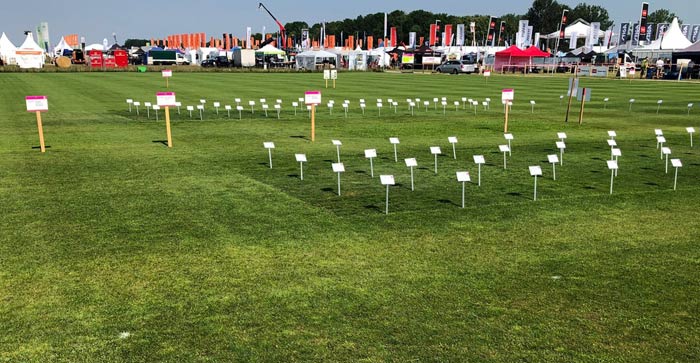 Ausgeschilderte Rasenparzellen auf der demopark Sonderschau Rasen.