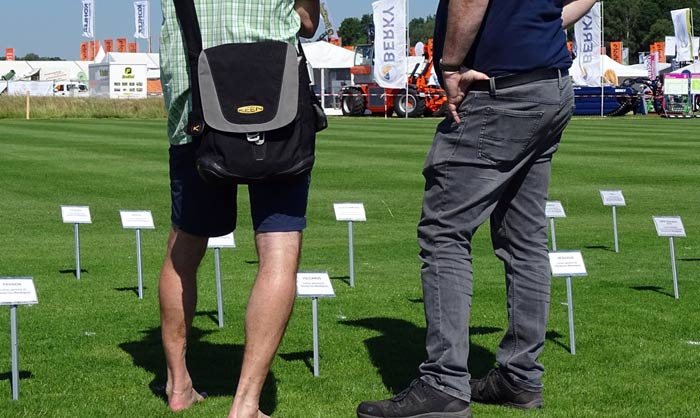 Neue Rasensorten in Reinsaat für den praktischen Vergleich bei der Gräserwahl.