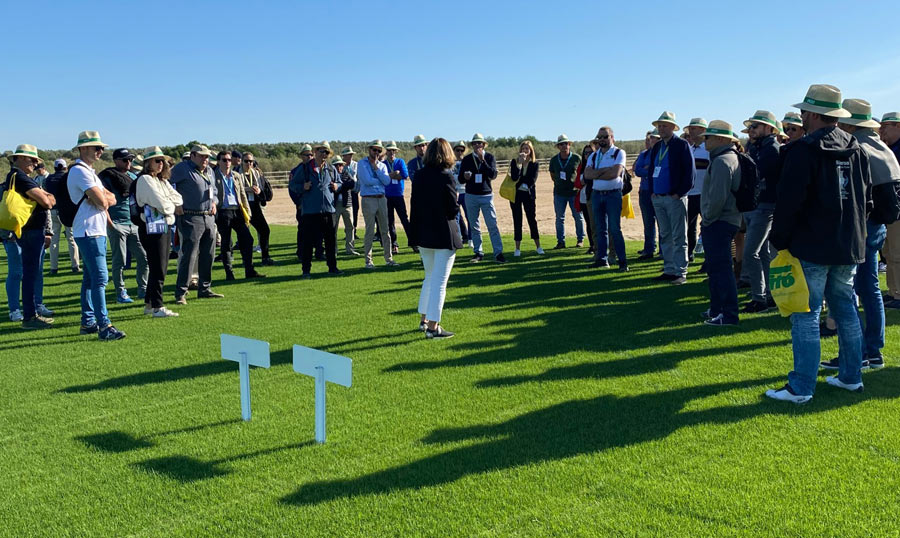 Abb.5: Station bei der Turf Field Tour auf den Produktionsflächen von Novogreen Cespes natural S.A. Foto: F. Lord