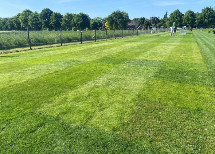 Unweit des Firmengeländes befindet sich der 12.000 m² große Schaugarten. Hier werden unter anderem Sortenversuche durchgeführt und Mischungen erprobt.