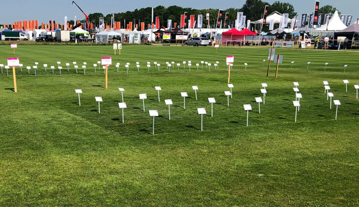 Sorten-Parzellen zur Anschauung differenzierter Gräserleistungen.