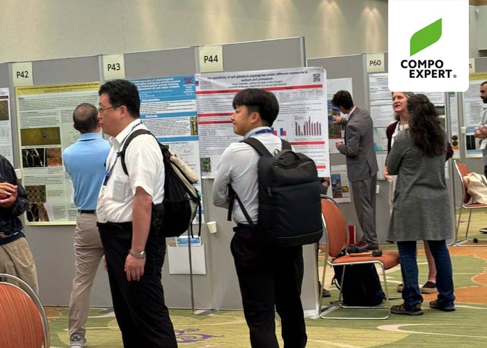 Umfangreiche Poster-Präsentation bei 15.ITRC in Japan 2025.