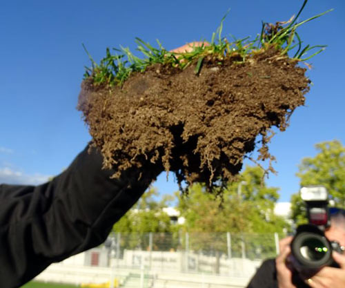 (Foto: Dr. K. G. Müller-Beck)