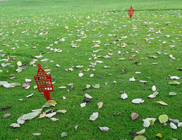 (Foto: Dr. K. G. Müller-Beck)