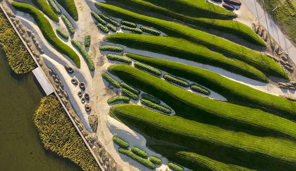 Rasenwellen BUGA 2019 Heilbronn