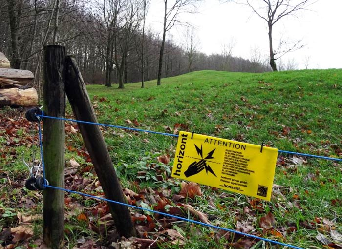 Wildschweine bleiben draußen