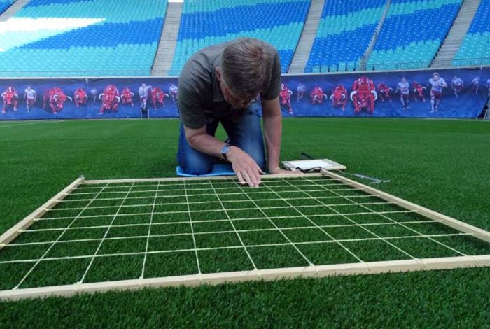 Rasenqualität ist auch eine Frage des Gräserbestandes