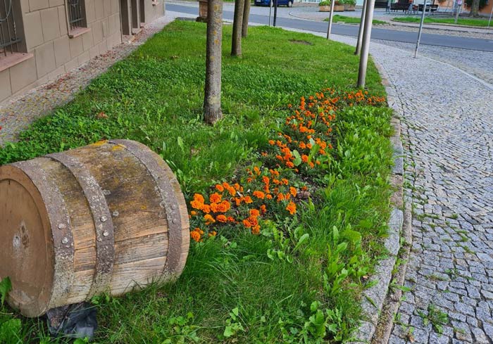 Gärtnerische Gestaltung