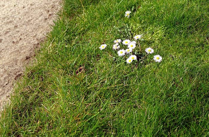 Frühlingsanfang am 1. März