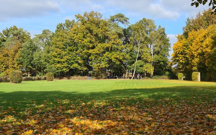 Stimmungsvoller Herbst-Rasen