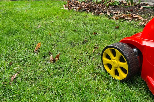 Der erste Rasenschnitt im März