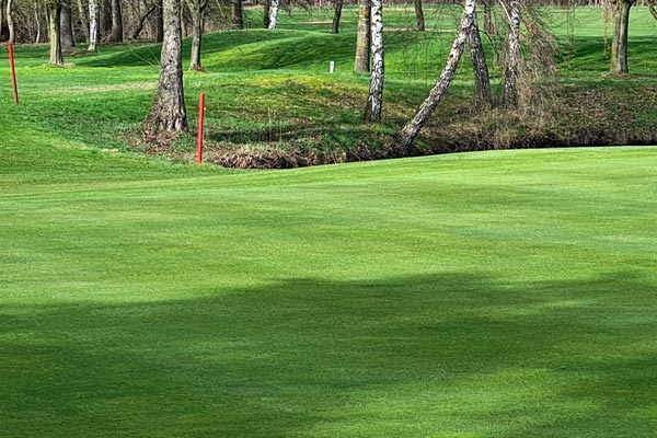 Der Frühling ist zurück.