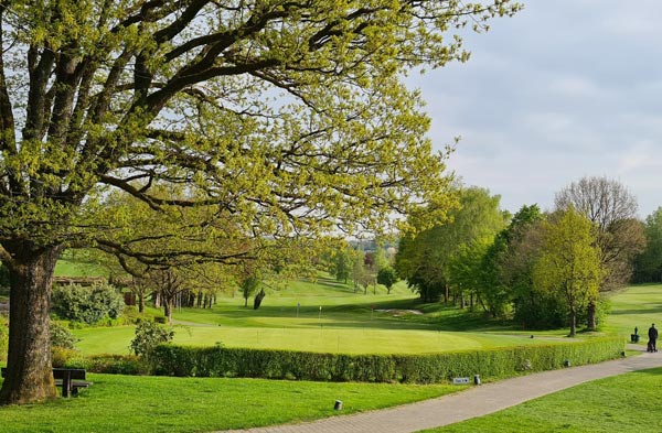 Rasen im Frühling im Einklang mit der Natur