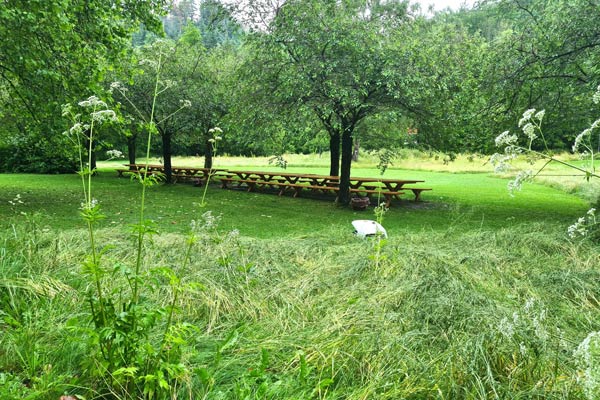 Im Rahmen einer Landesgartenschau schaffen die Rasenflächen oft das Umfeld zu den Rabatten- Pflanzungen.