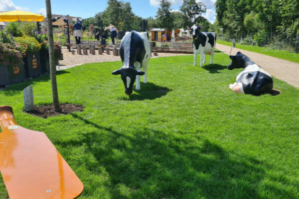 Rasen als „Objekt-Wiese“