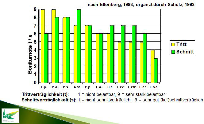 Einstufung der Gräsereigenschaften