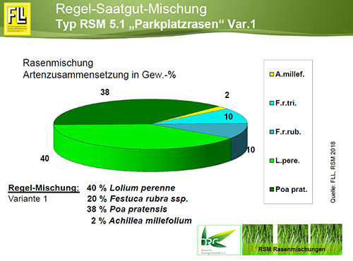 Parkplatzrasen RSM 5.1