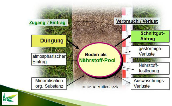 Schematische Darstellung des Nährstoffangebotes 