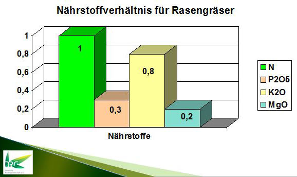 Nährstoffverhältnis der Hauptelemente im Schnittgut eines vitalen Rasens