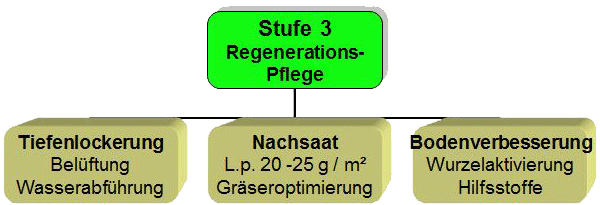 Bei intensivem Spielbetrieb wird in der Spielpause eine Regenerations-Pflege notwendig