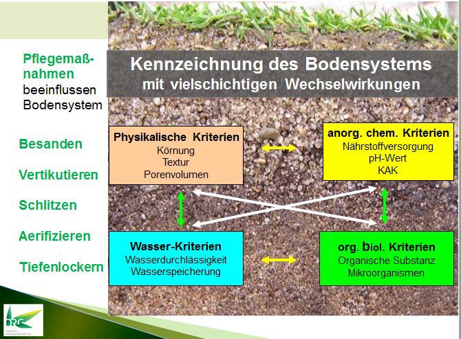 Bodeneigenschaften beeinflussen Leistungsfähigkeit eines Sportrasens