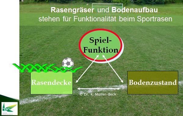 Wechselwirkung zwischen Bodenaufbau (RTS) und  Rasen-Mischung (RSM) 