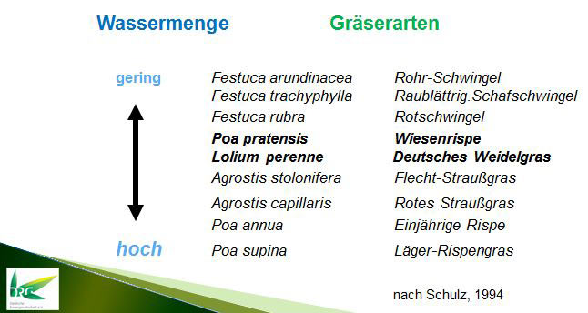 Einstufung des Wasserbedarfs der wichtigsten Rasengräser-Arten
