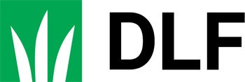 DLF GmbH