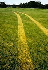 Fahrspuren auf dem Golfplatz nach Rauhreifbildung im Oktober 