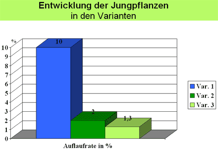 verschiedener Aussaatstärken