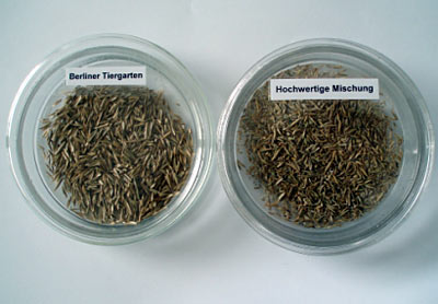 Das vielfältige Angebot von Saatgut 