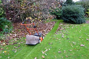 Laubaufnahme mit dem Rasenmäher zerkleinert das Material