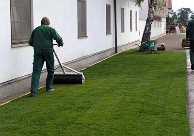 Die Verwendung von Rollrasen