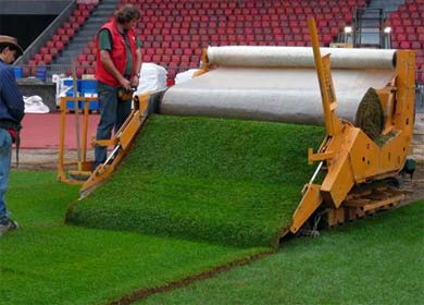 Erneuerung eines Stadionrasens