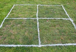 Freilandfläche am 31. Oktober 2015