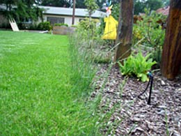 Das angrenzende Beet ist mit Rindenmulch aufgefüllt.