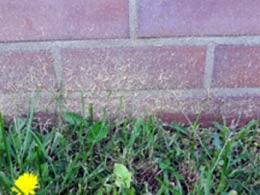 Erhöhte Begrenzung mit Mauerwerk. 