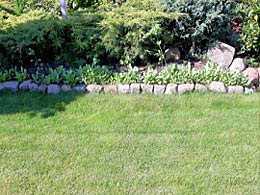 Erhöhte Begrenzung mit Pflastersteinen.