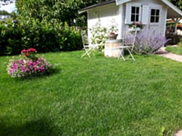 Zahlreiche Begrenzungen wie Pflanzkübel, Deko- Fass und Wege. 