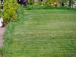 Ein Mähroboter ist eine sehr gute Hilfe