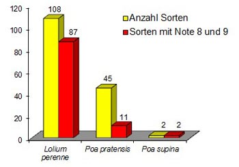 Gräserarten für Strapazierrasen
