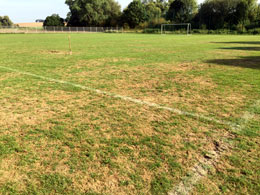 Schadbild auf dem Sportrasen nach Dungkäfer-Befall im Jahre 2016.