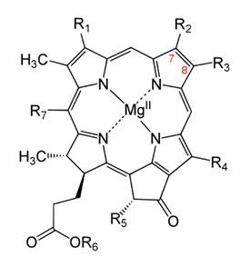 Strukturformel für das Chlorophyll-Molekül